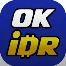 OKIDR - Petualangan Tak Terbatas di Dunia Terbuka